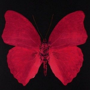 Meet your Posher, Deux